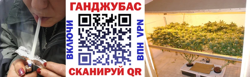 Бошки Шишки марихуана  где можно купить наркотик  Чекалин 
